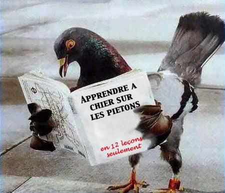 les specialistessssss